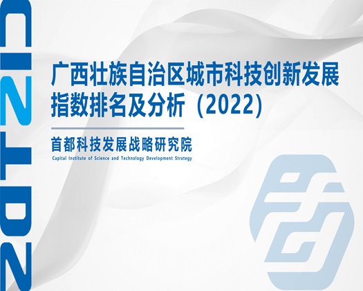 大鸡巴插逼黄片视频【成果发布】广西壮族自治区城市科技创新发展指数排名及分析（2022）